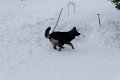 Lawinetraining (5)